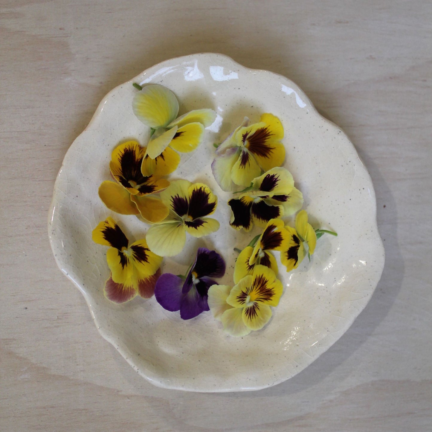 PANSY print Silk Charmeuse Ribbon Hand Torn